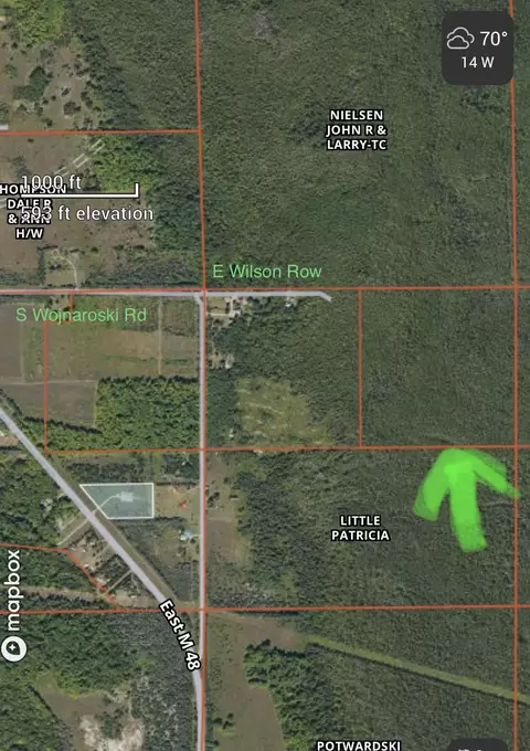 0 E Wilson Row, Goetzville, MI 49736