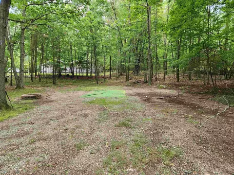 5147 Cherry, Farwell, MI 48622 photo 4