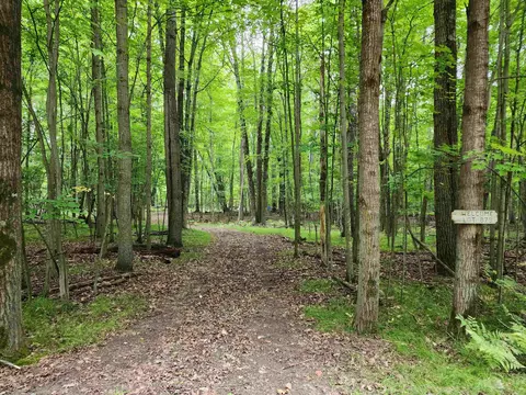 879 Hemlock Lane, Farwell, MI 48622