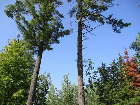 Parcel 4-d Bailey Shores, Mohawk, MI 49950