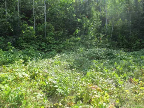 Parcel 4-d Bailey Shores, Mohawk, MI 49950 photo 2