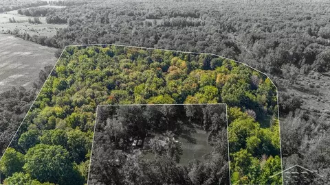 Vl Ithaca Rd, Brant, MI 48614 photo 3