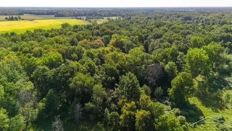 Vl Ithaca Rd, Brant, MI 48614 photo 10