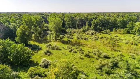 Vl Ithaca Rd, Brant, MI 48614 photo 7