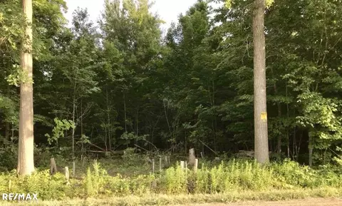 17410 Irwin, Armada, MI 48005 photo 12