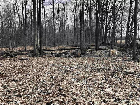 17410 Irwin, Armada, MI 48005 photo 17