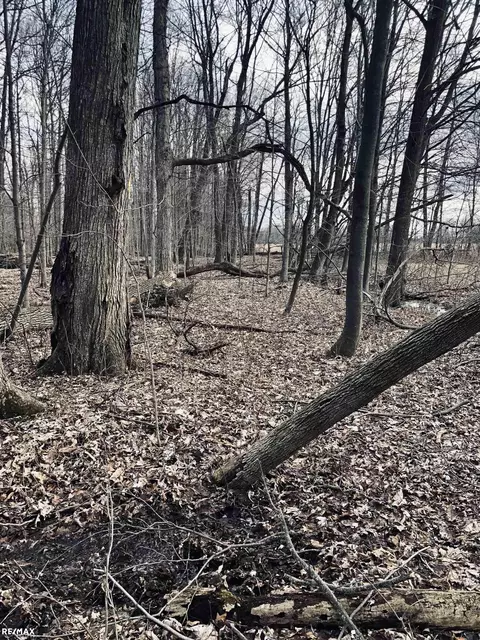 17410 Irwin, Armada, MI 48005 photo 28