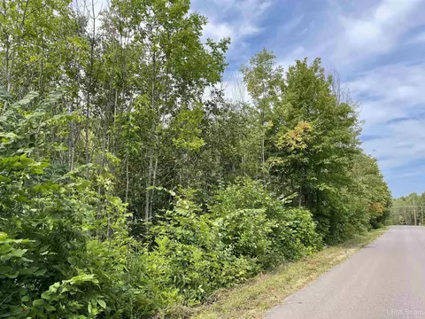 4 Acres Off Of Whitefish Rd, Deerton, MI 49822