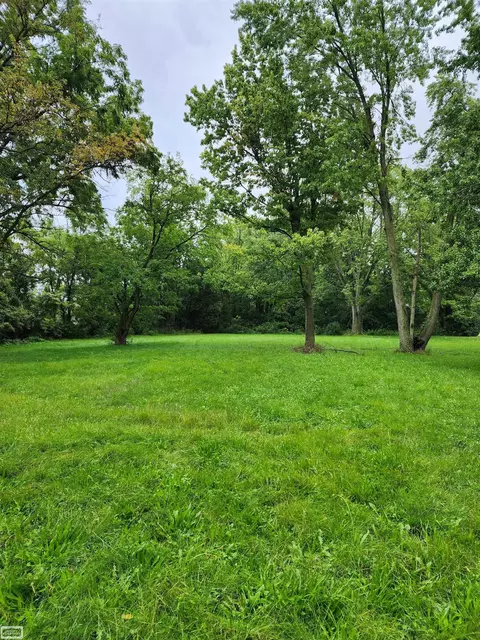 24950 Hunt, Macomb, MI 48042 photo 4