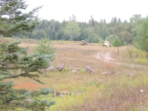 10920 T65, Rapid River, MI 49878