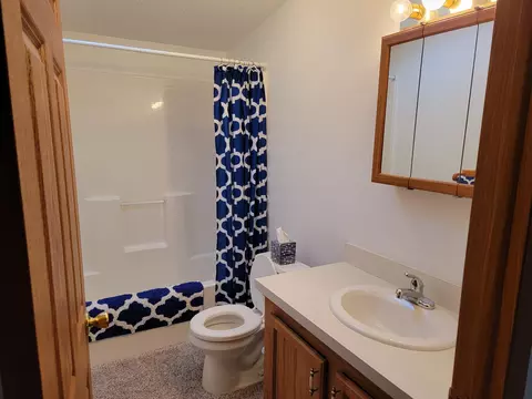 13285 Elms, Birch Run, MI 48415 photo 22