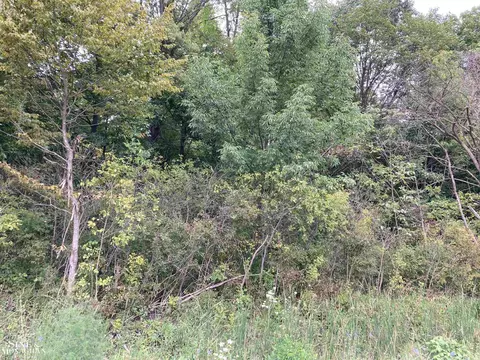 V/l Briggeman, Saint Clair, MI 48079 photo 2