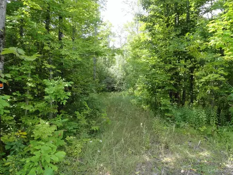 Tbd M64, Marenisco, MI 49947