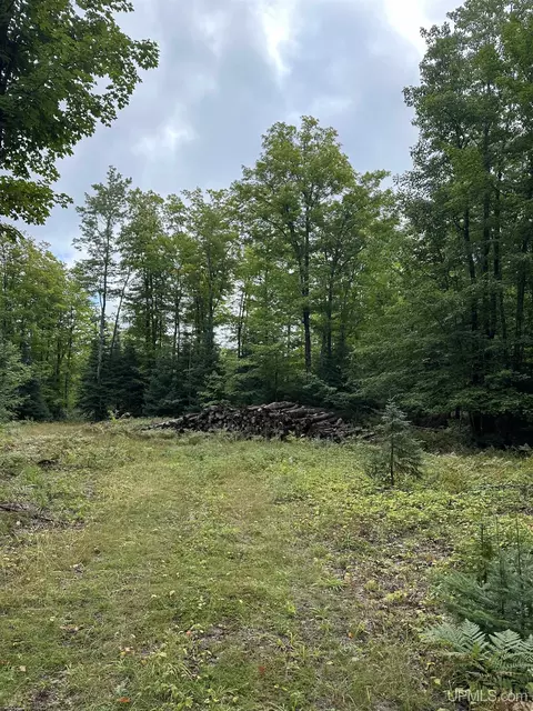 4 Maple Ridge Road, Negaunee, MI 49866