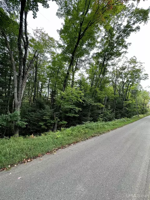 Lot #2 North, Negaunee, MI 49866
