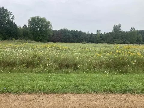 Vl Marion, Brant, MI 48614