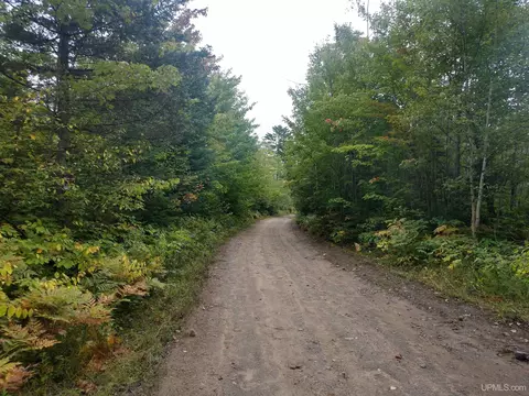 80 Acres Grant Lk, Republic, MI 49879