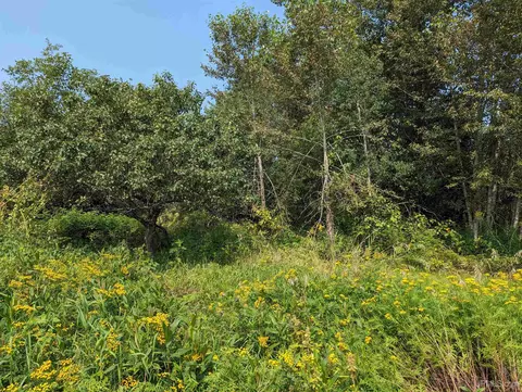 Tbd Co Rd Pc, Ishpeming, MI 49849 photo 5