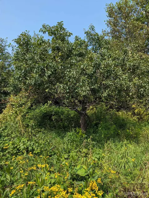 Tbd Co Rd Pc, Ishpeming, MI 49849 photo 6