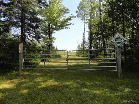 Tbd Goldberg, Bergland, MI 49925