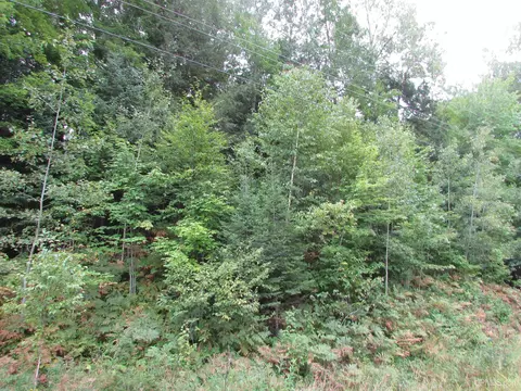 tbd Skanee, L'anse, MI 49946