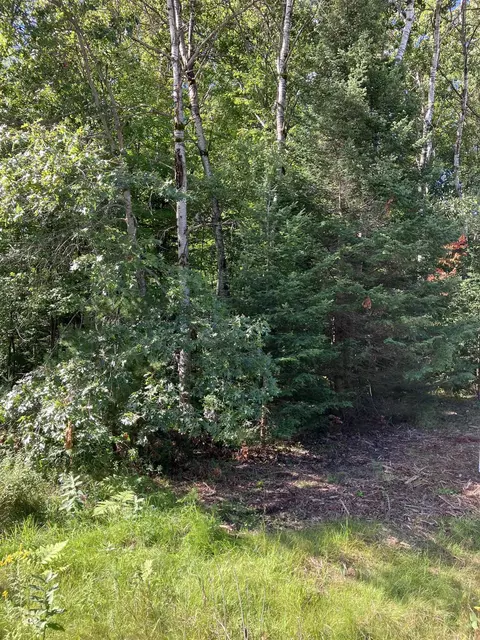 Tbd Ashard, Lake, MI 48632