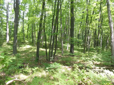 5 Acres Blanche, Harrison, MI 48625 photo 8