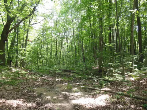 5 Acres Blanche, Harrison, MI 48625 photo 3