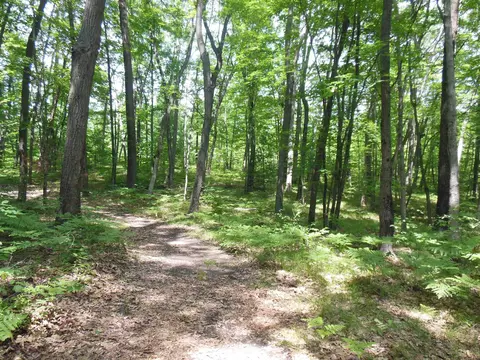 5 Acres Blanche, Harrison, MI 48625 photo 7