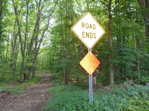 5 Acres Blanche, Harrison, MI 48625