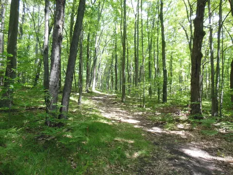 5 Acres Blanche, Harrison, MI 48625 photo 2