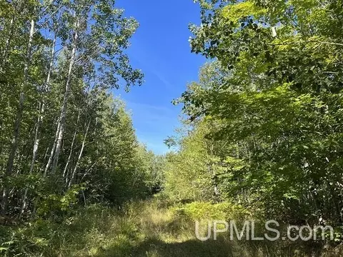 40 Acres Off Townline, L'anse, MI 49946