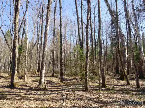 20 Acres Red, Ishpeming, MI 49849 photo 2