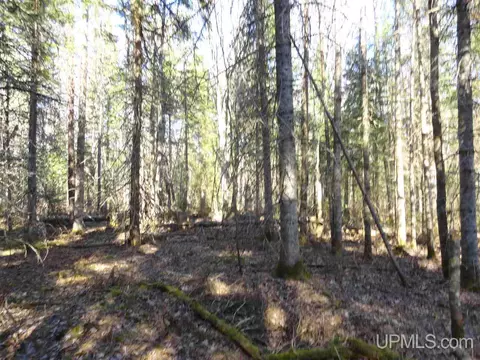 20 Acres Red, Ishpeming, MI 49849 photo 18
