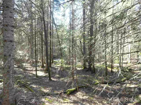 20 Acres Red, Ishpeming, MI 49849 photo 13