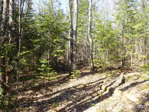 20 Acres Red, Ishpeming, MI 49849 photo 12