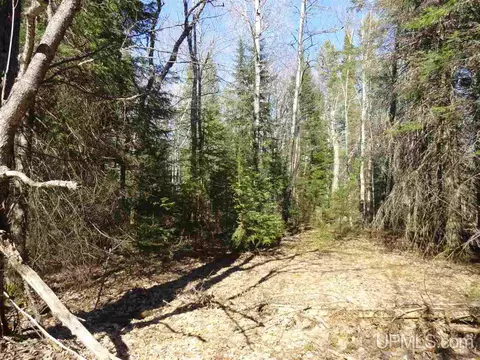 20 Acres Red, Ishpeming, MI 49849 photo 9