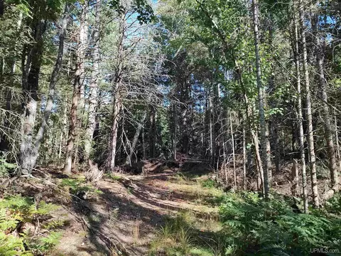 20 Acres Red, Ishpeming, MI 49849 photo 31