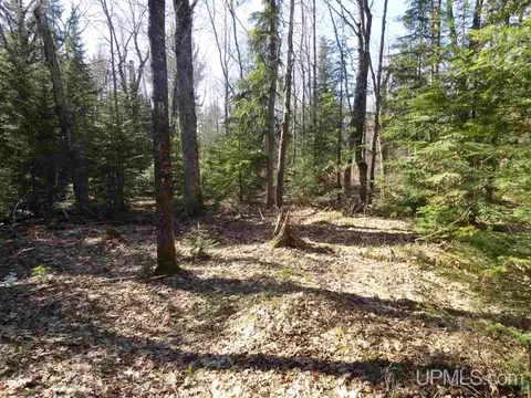 20 Acres Red, Ishpeming, MI 49849 photo 20