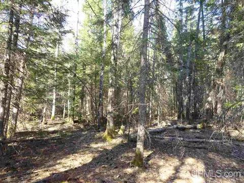 20 Acres Red, Ishpeming, MI 49849 photo 14