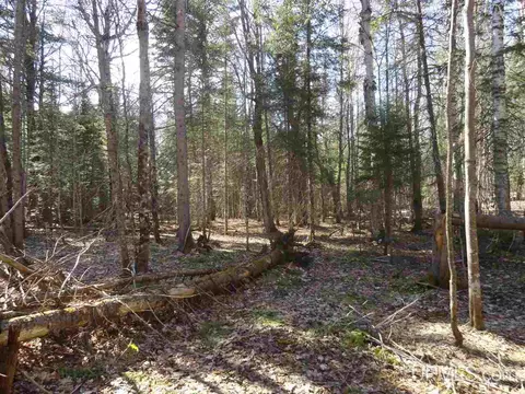 20 Acres Red, Ishpeming, MI 49849 photo 6