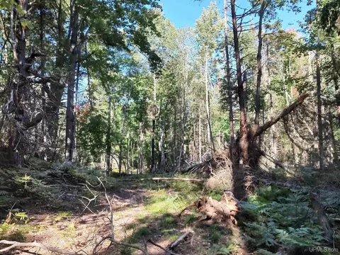 20 Acres Red, Ishpeming, MI 49849 photo 28