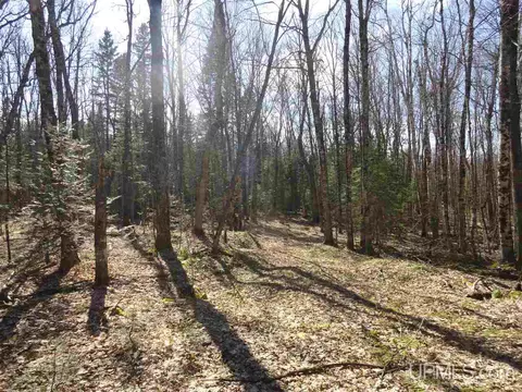 20 Acres Red, Ishpeming, MI 49849 photo 3