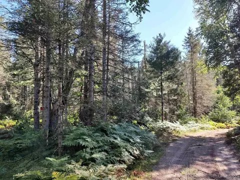 20 Acres Red, Ishpeming, MI 49849 photo 36