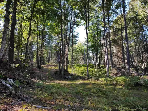 20 Acres Red, Ishpeming, MI 49849 photo 24