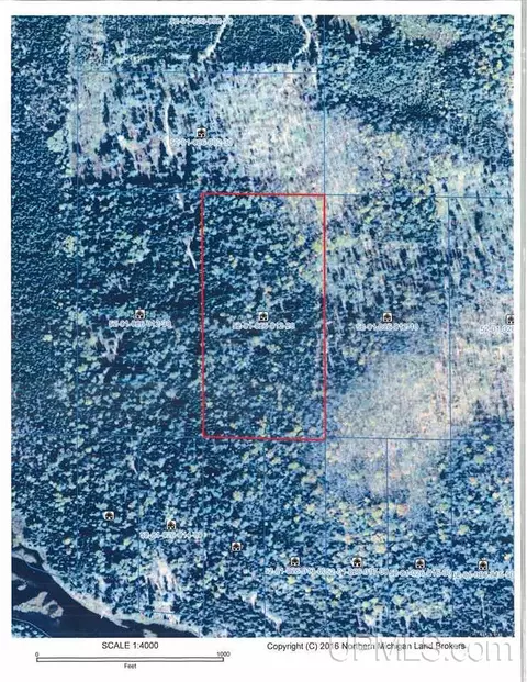 20 Acres Red, Ishpeming, MI 49849 photo 23