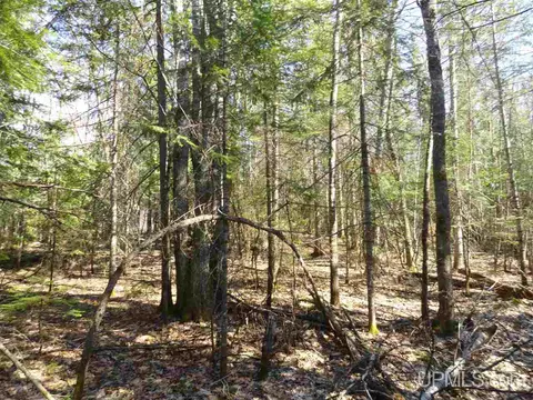 20 Acres Red, Ishpeming, MI 49849 photo 11