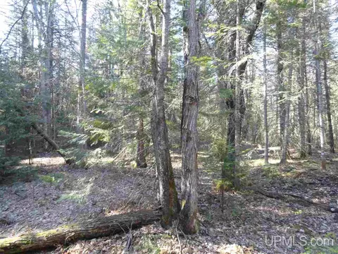 20 Acres Red, Ishpeming, MI 49849 photo 17