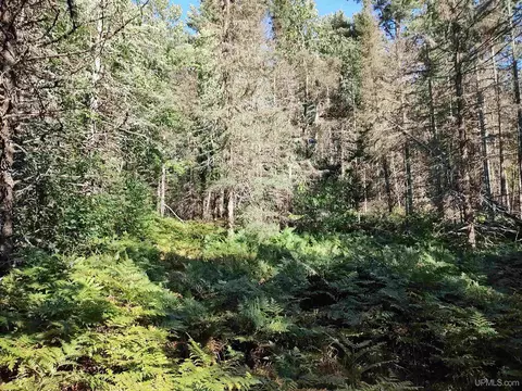 20 Acres Red, Ishpeming, MI 49849 photo 32