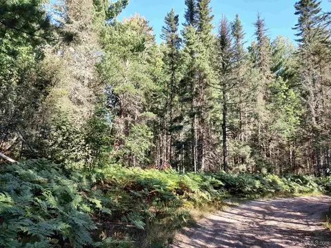 20 Acres Red, Ishpeming, MI 49849 photo 39